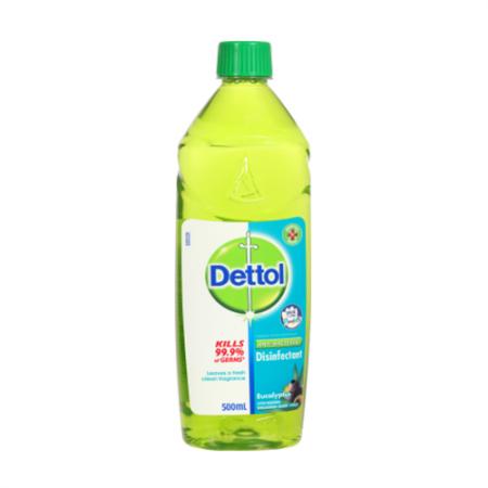 Dettol 滴露 除菌清洁消毒液 桉树叶味 500ml